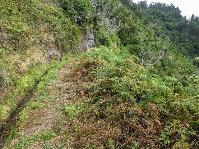 15.08.2017 Rundwanderung in Achadas da Cruz — Zur Madre der Levada dos Pombais sup und zurück zum Pfad zum Miradouro dos Pombais — Foto 3