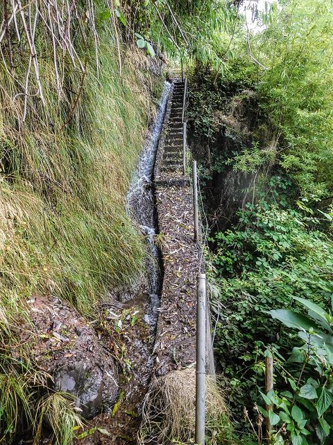 15.08.2017 Rundwanderung in Achadas da Cruz — Zur Madre der Levada dos Pombais sup und zurück zum Pfad zum Miradouro dos Pombais — Foto 4