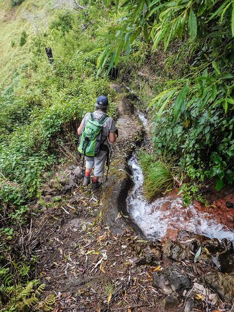 15.08.2017 Rundwanderung in Achadas da Cruz — Zur Madre der Levada dos Pombais sup und zurück zum Pfad zum Miradouro dos Pombais — Foto 7