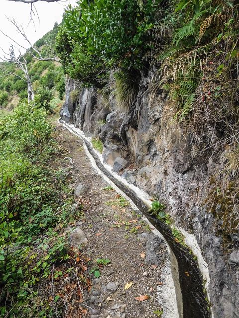 15.08.2017 Rundwanderung in Achadas da Cruz — Zur Madre der Levada dos Pombais sup und zurück zum Pfad zum Miradouro dos Pombais — Foto 8