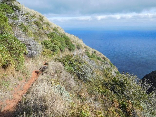 15.08.2017 Rundwanderung in Achadas da Cruz — Von der Seilbahnstation zur Calhau das Achadas da Cruz — Foto 11