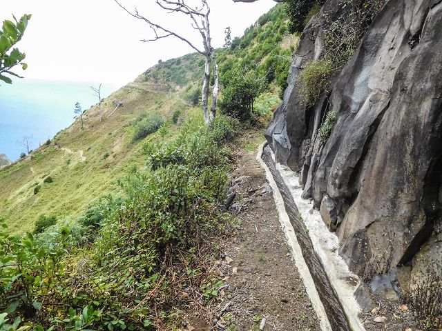 15.08.2017 Rundwanderung in Achadas da Cruz — Zur Madre der Levada dos Pombais sup und zurück zum Pfad zum Miradouro dos Pombais — Foto 9