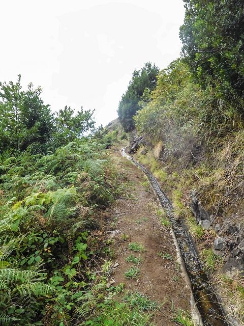15.08.2017 Rundwanderung in Achadas da Cruz — Zur Madre der Levada dos Pombais sup und zurück zum Pfad zum Miradouro dos Pombais — Foto 10