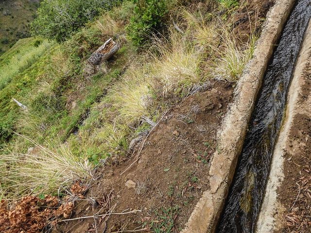 15.08.2017 Rundwanderung in Achadas da Cruz — Zur Madre der Levada dos Pombais sup und zurück zum Pfad zum Miradouro dos Pombais — Foto 11