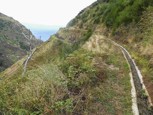 15.08.2017 Rundwanderung in Achadas da Cruz — Zur Madre der Levada dos Pombais sup und zurück zum Pfad zum Miradouro dos Pombais — Foto 12