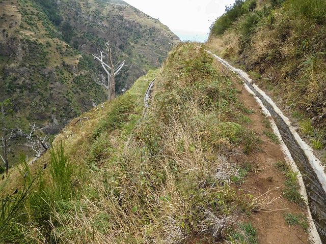 15.08.2017 Rundwanderung in Achadas da Cruz — Zur Madre der Levada dos Pombais sup und zurück zum Pfad zum Miradouro dos Pombais — Foto 13