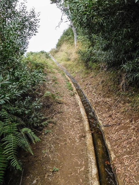 15.08.2017 Rundwanderung in Achadas da Cruz — Zur Madre der Levada dos Pombais sup und zurück zum Pfad zum Miradouro dos Pombais — Foto 16