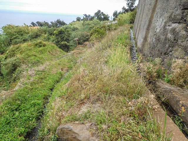 15.08.2017 Rundwanderung in Achadas da Cruz — Zur Madre der Levada dos Pombais sup und zurück zum Pfad zum Miradouro dos Pombais — Foto 17