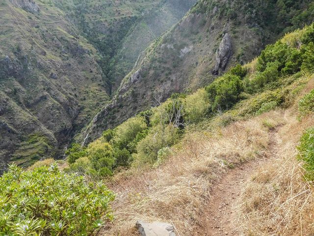 15.08.2017 Rundwanderung in Achadas da Cruz — Von der Seilbahnstation zur Calhau das Achadas da Cruz — Foto 12