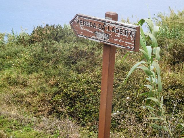 15.08.2017 Rundwanderung in Achadas da Cruz — Zur Madre der Levada dos Pombais sup und zurück zum Pfad zum Miradouro dos Pombais — Foto 19