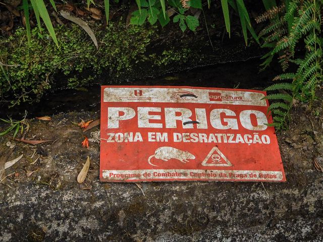 15.08.2017 Rundwanderung in Achadas da Cruz — Entlang der Levada do Brasileiro und do Moinho nach Porta da Vila — Foto 4