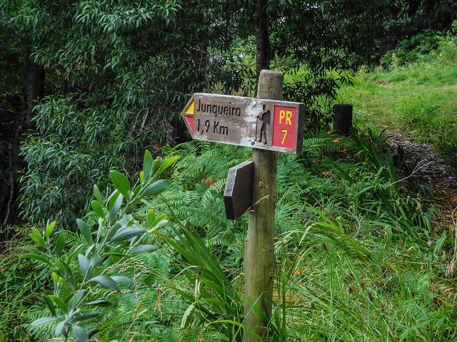 Levada do Brasileiro — Parallel zur Levada do Moinho — Foto 12