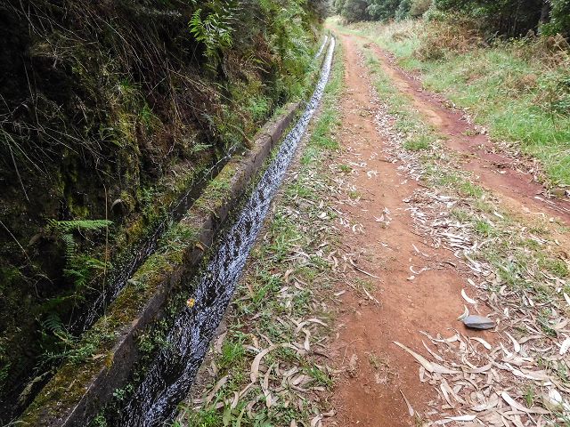 Levada do Brasileiro — Parallel zur Levada do Moinho — Foto 8