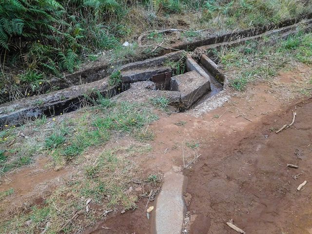 Levada do Brasileiro — Parallel zur Levada do Moinho — Foto 5