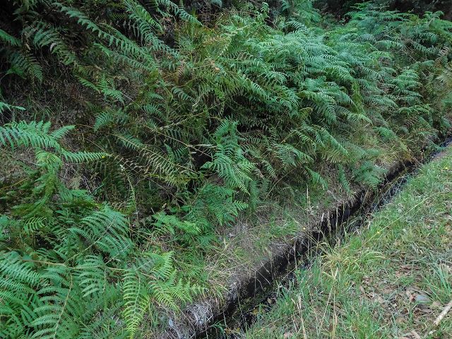 Levada do Brasileiro — Zwischen ER105 und Levada do Moinho — Foto 3