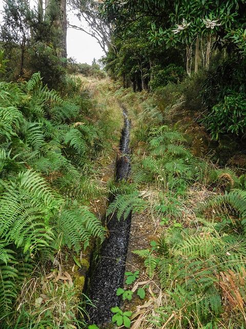 Levada do Brasileiro — Zwischen ER105 und Levada do Moinho — Foto 1