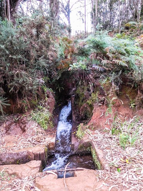 Levada do(s) Moinho(s) — As far as the meeting with the Levada do Brasileiro — photo 1