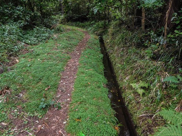 15.08.2017 Rundwanderung in Achadas da Cruz — Entlang der Levada do Brasileiro und do Moinho nach Porta da Vila — Foto 1