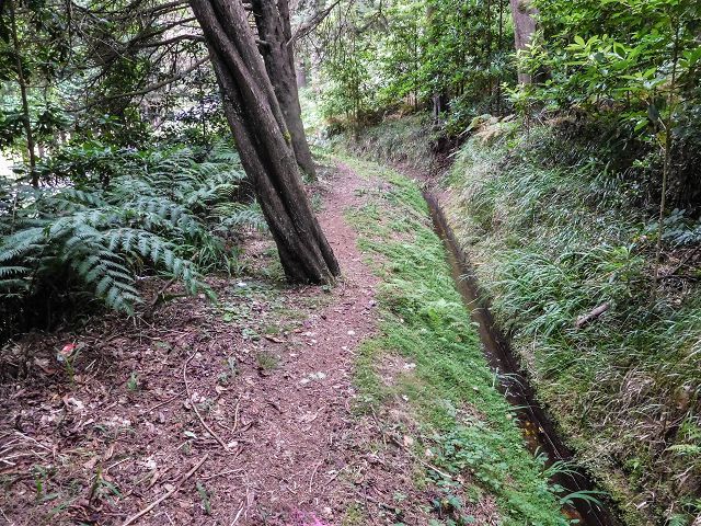 15.08.2017 Rundwanderung in Achadas da Cruz — Entlang der Levada do Brasileiro und do Moinho nach Porta da Vila — Foto 2