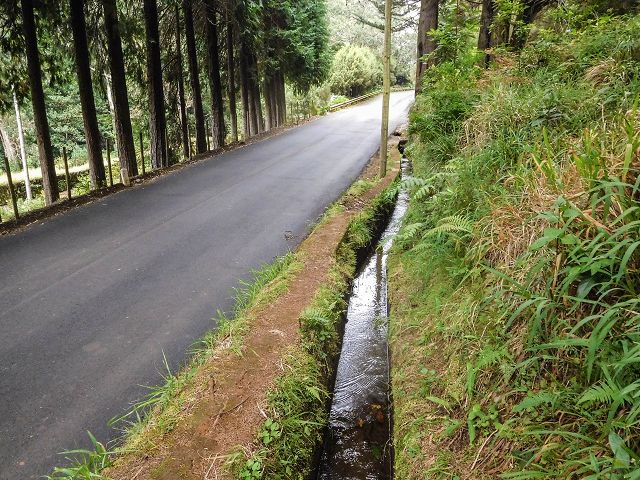 15.08.2017 Rundwanderung in Achadas da Cruz — Entlang der Levada do Brasileiro und do Moinho nach Porta da Vila — Foto 3