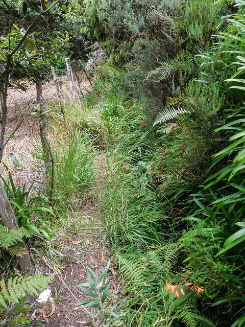 Levada do(s) Moinho(s) — Portas da Vila, crossing the ER105 — photo 5