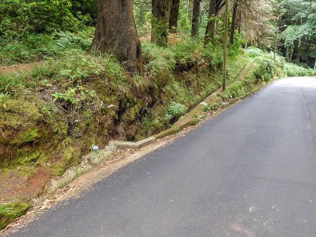 15.08.2017 Rundwanderung in Achadas da Cruz — Entlang der Levada do Brasileiro und do Moinho nach Porta da Vila — Foto 6