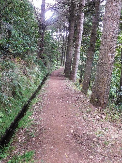 15.08.2017 Rundwanderung in Achadas da Cruz — Entlang der Levada do Brasileiro und do Moinho nach Porta da Vila — Foto 7