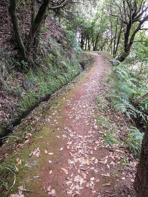 15.08.2017 Rundwanderung in Achadas da Cruz — Entlang der Levada do Moinho zur Kreuzung mit der ER-110 und Richtung Achadas do Cruz — Foto 1