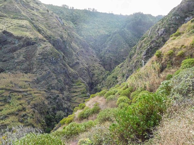 15.08.2017 Rundwanderung in Achadas da Cruz — Von der Seilbahnstation zur Calhau das Achadas da Cruz — Foto 15