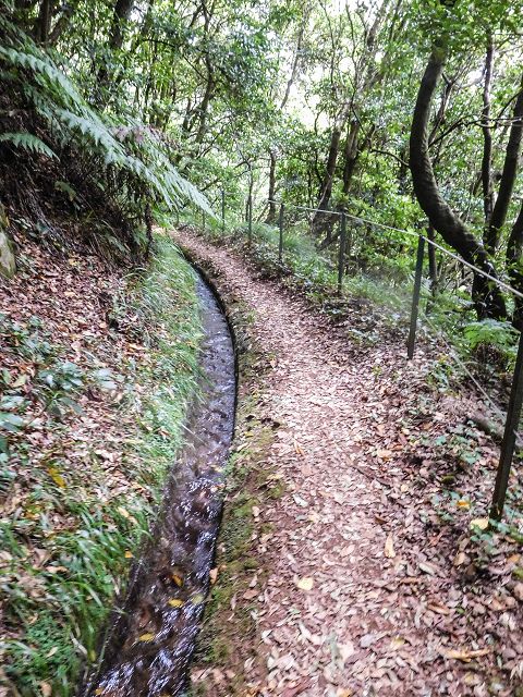 15.08.2017 Rundwanderung in Achadas da Cruz — Entlang der Levada do Moinho zur Kreuzung mit der ER-110 und Richtung Achadas do Cruz — Foto 2