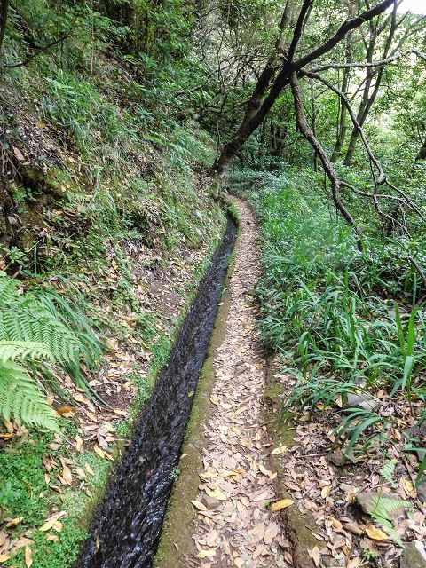 15.08.2017 Rundwanderung in Achadas da Cruz — Entlang der Levada do Moinho zur Kreuzung mit der ER-110 und Richtung Achadas do Cruz — Foto 3