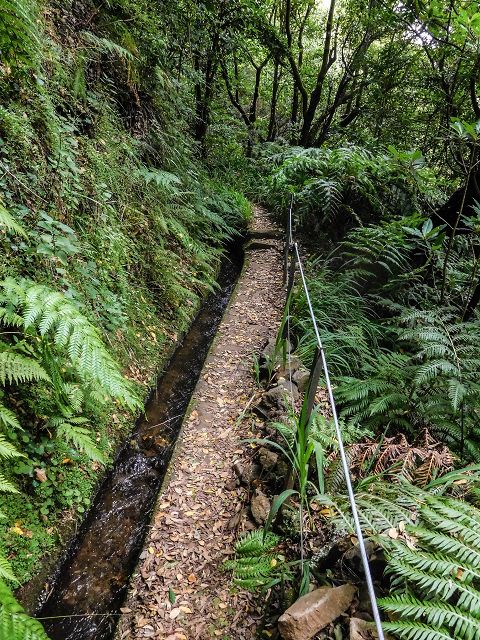 15.08.2017 Rundwanderung in Achadas da Cruz — Entlang der Levada do Moinho zur Kreuzung mit der ER-110 und Richtung Achadas do Cruz — Foto 4