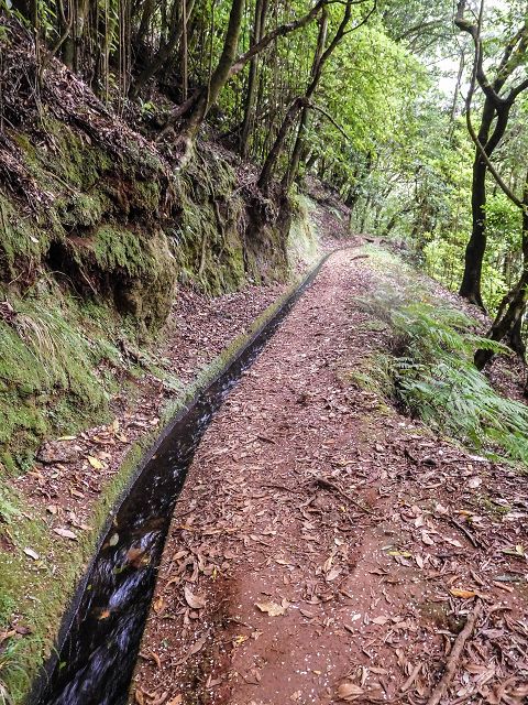 15.08.2017 Rundwanderung in Achadas da Cruz — Entlang der Levada do Moinho zur Kreuzung mit der ER-110 und Richtung Achadas do Cruz — Foto 5