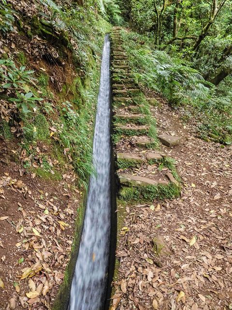 15.08.2017 Rundwanderung in Achadas da Cruz — Levadatreppe — Foto 1