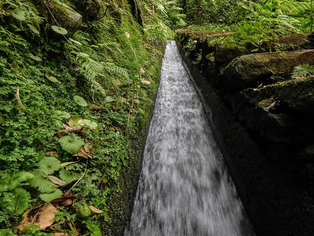15.08.2017 Rundwanderung in Achadas da Cruz — Levadatreppe — Foto 2