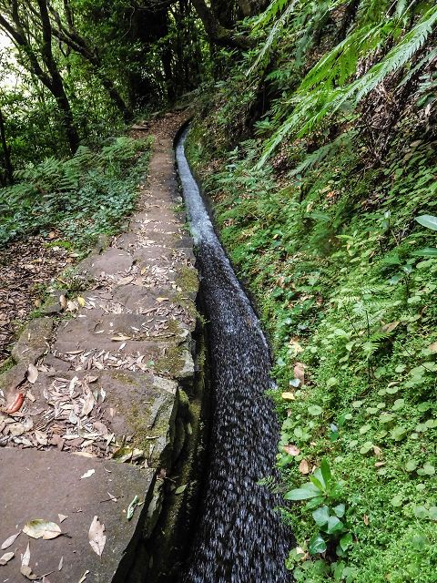 15.08.2017 Rundwanderung in Achadas da Cruz — Levadatreppe — Foto 3