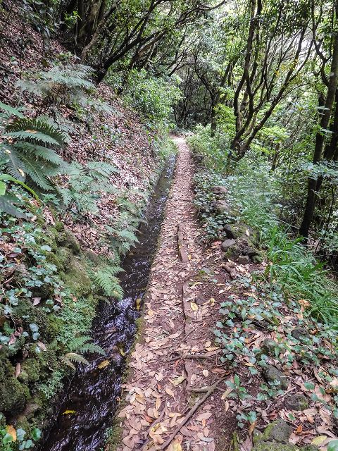 15.08.2017 Rundwanderung in Achadas da Cruz — Levadatreppe — Foto 4