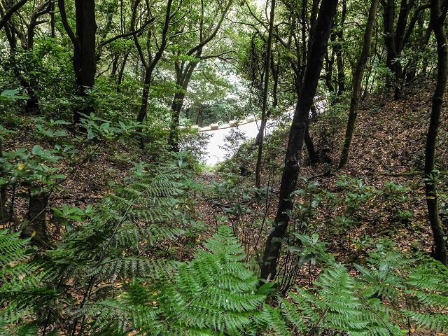 15.08.2017 Rundwanderung in Achadas da Cruz — Levadatreppe — Foto 5