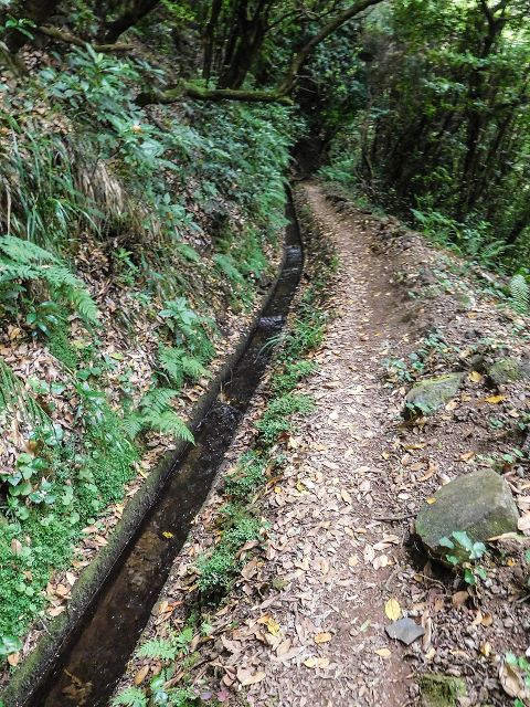 15.08.2017 Rundwanderung in Achadas da Cruz — Levadatreppe — Foto 6