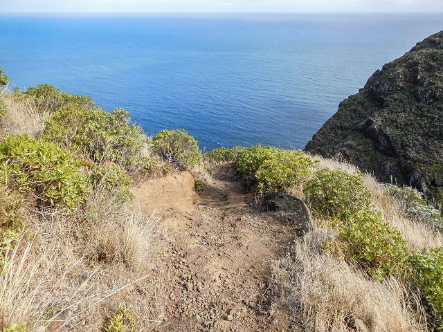 15.08.2017 Rundwanderung in Achadas da Cruz — Von der Seilbahnstation zur Calhau das Achadas da Cruz — Foto 16