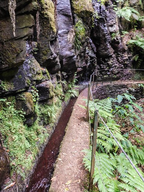 15.08.2017 Rundwanderung in Achadas da Cruz — Felswandpassage — Foto 2