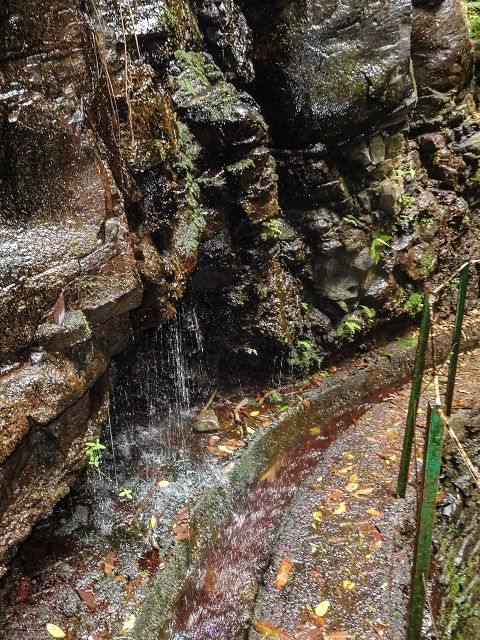 15.08.2017 Rundwanderung in Achadas da Cruz — Felswandpassage — Foto 3