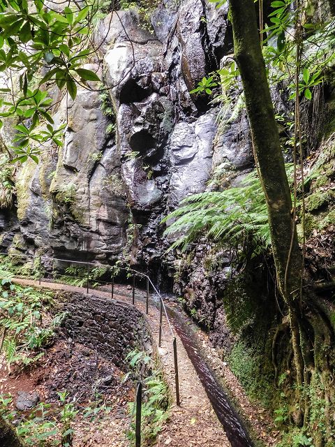 15.08.2017 Rundwanderung in Achadas da Cruz — Felswandpassage — Foto 4