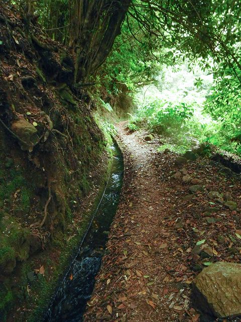 15.08.2017 Rundwanderung in Achadas da Cruz — Felswandpassage — Foto 5