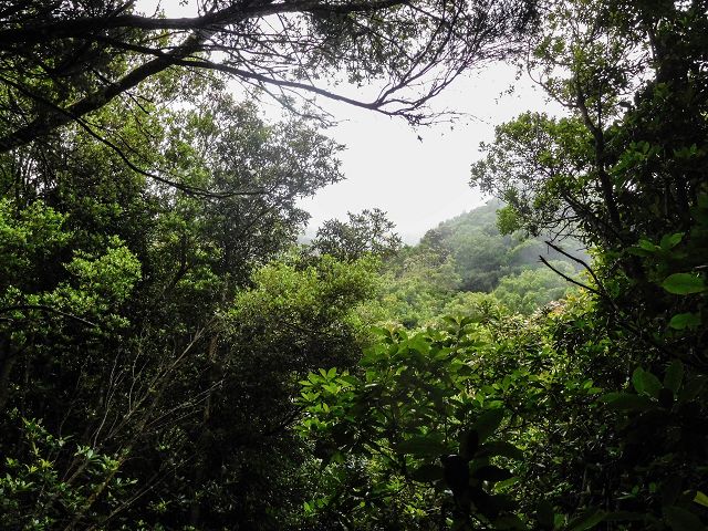 15.08.2017 Rundwanderung in Achadas da Cruz — Felswandpassage — Foto 6