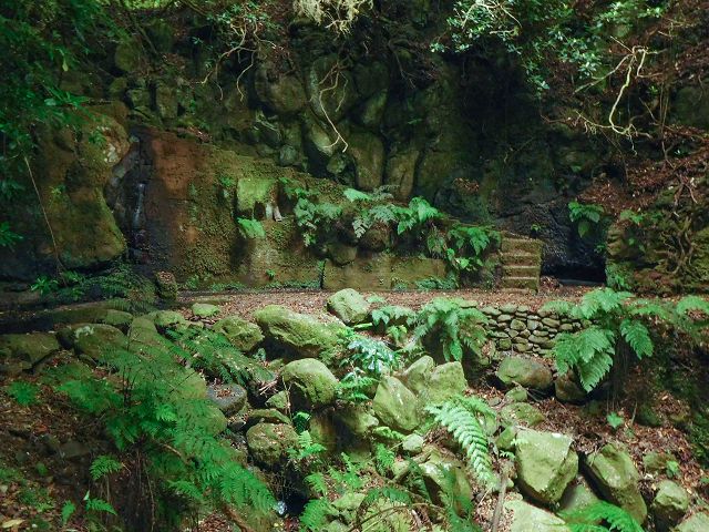 15.08.2017 Rundwanderung in Achadas da Cruz — Passage des östlichen Armes der Ribeira do Tristao — Foto 1