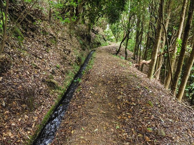 15.08.2017 Rundwanderung in Achadas da Cruz — Passage des östlichen Armes der Ribeira do Tristao — Foto 4