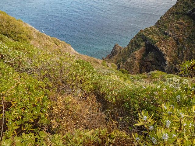 15.08.2017 Rundwanderung in Achadas da Cruz — Von der Seilbahnstation zur Calhau das Achadas da Cruz — Foto 17