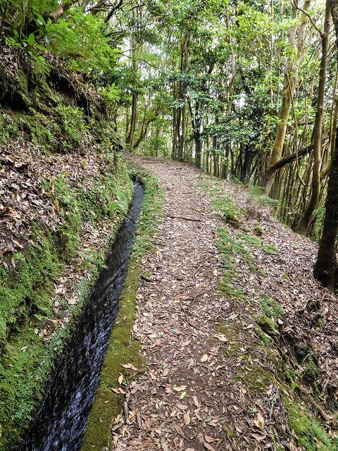 15.08.2017 Rundwanderung in Achadas da Cruz — Passage des östlichen Armes der Ribeira do Tristao — Foto 5