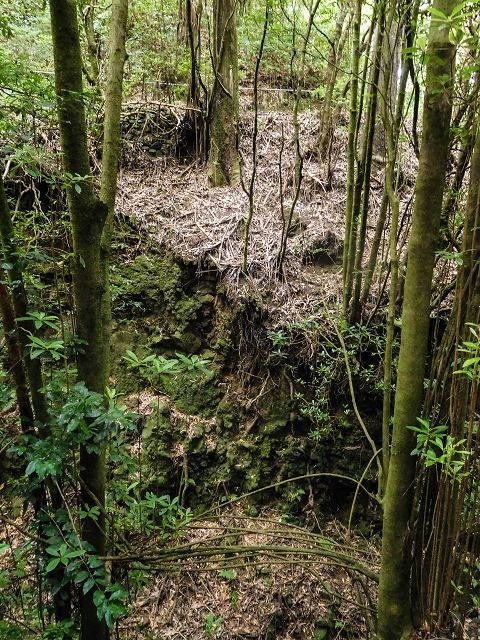 15.08.2017 Rundwanderung in Achadas da Cruz — Passage des westlichen Armes der Ribeira do Tristao — Foto 1